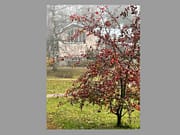 Työhuone Ekoateljeessa